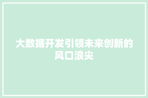 大数据开发引领未来创新的风口浪尖  第1张
