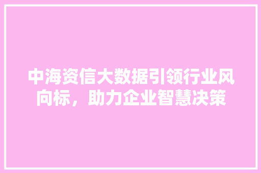 中海资信大数据引领行业风向标，助力企业智慧决策