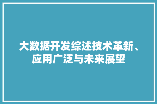 大数据开发综述技术革新、应用广泛与未来展望