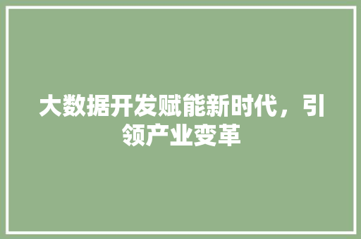 大数据开发赋能新时代，引领产业变革