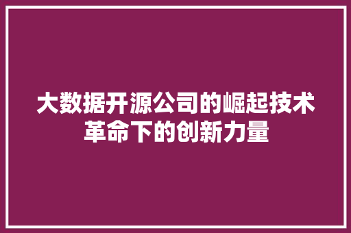 大数据开源公司的崛起技术革命下的创新力量