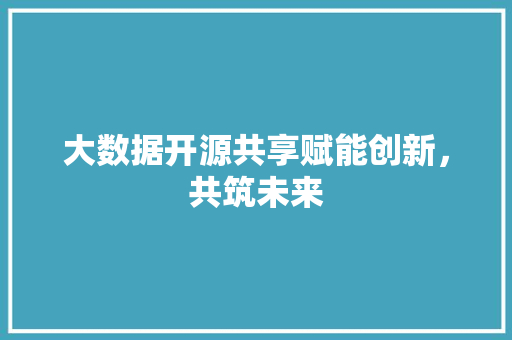 大数据开源共享赋能创新，共筑未来