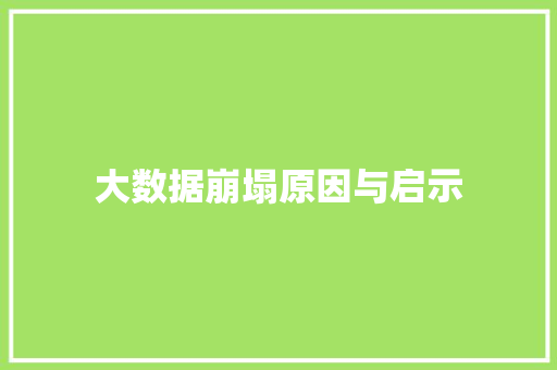 大数据崩塌原因与启示  第1张