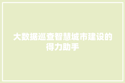大数据巡查智慧城市建设的得力助手