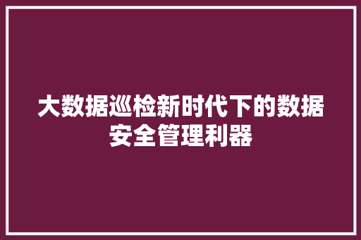 大数据巡检新时代下的数据安全管理利器