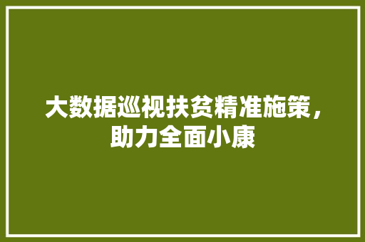 大数据巡视扶贫精准施策，助力全面小康