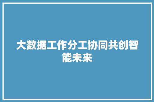 大数据工作分工协同共创智能未来