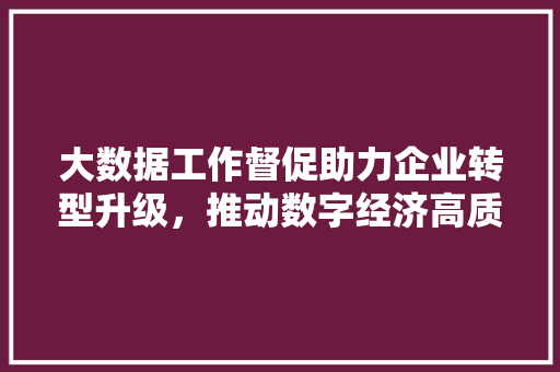 大数据工作督促助力企业转型升级，推动数字经济高质量发展