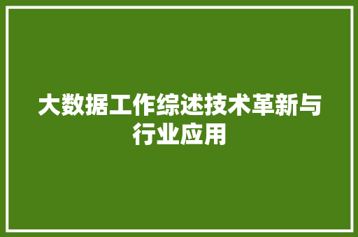 大数据工作综述技术革新与行业应用