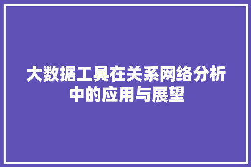 大数据工具在关系网络分析中的应用与展望