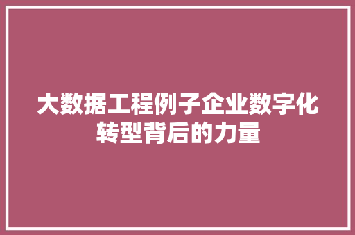 大数据工程例子企业数字化转型背后的力量  第1张