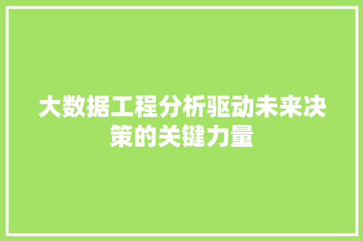 大数据工程分析驱动未来决策的关键力量  第1张