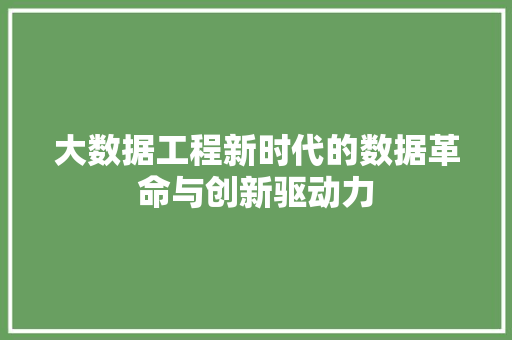 大数据工程新时代的数据革命与创新驱动力  第1张