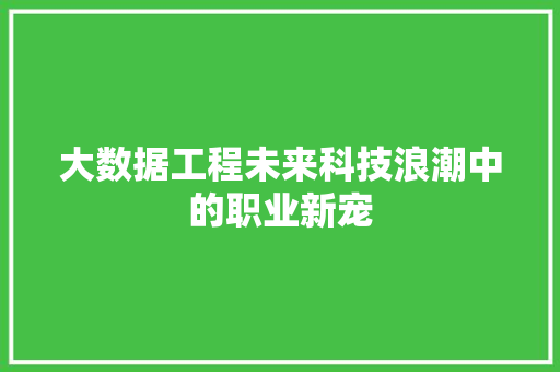 大数据工程未来科技浪潮中的职业新宠