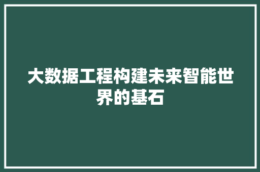 大数据工程构建未来智能世界的基石
