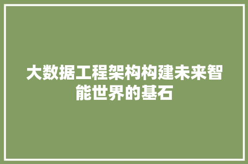 大数据工程架构构建未来智能世界的基石  第1张
