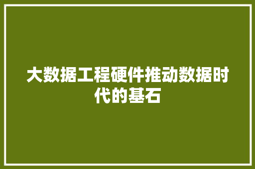 大数据工程硬件推动数据时代的基石  第1张