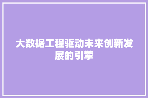 大数据工程驱动未来创新发展的引擎