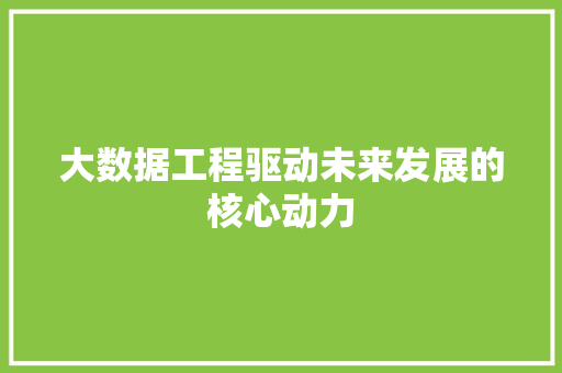 大数据工程驱动未来发展的核心动力  第1张