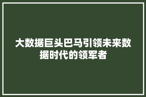 大数据巨头巴马引领未来数据时代的领军者
