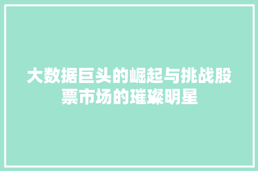大数据巨头的崛起与挑战股票市场的璀璨明星