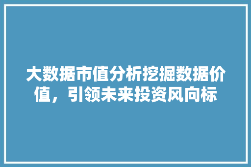 大数据市值分析挖掘数据价值，引领未来投资风向标  第1张