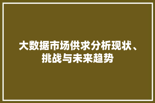 大数据市场供求分析现状、挑战与未来趋势