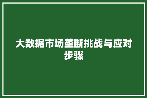 大数据市场垄断挑战与应对步骤