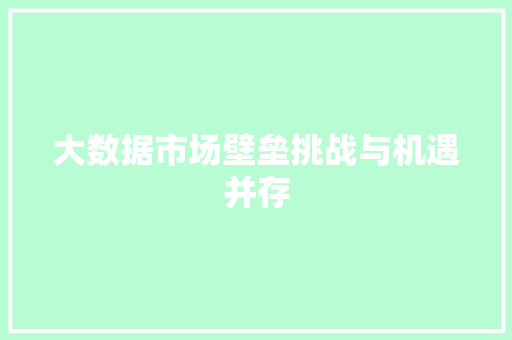 大数据市场壁垒挑战与机遇并存