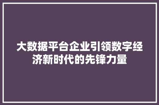 大数据平台企业引领数字经济新时代的先锋力量