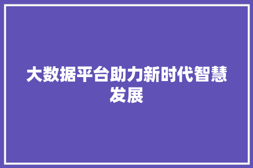 大数据平台助力新时代智慧发展