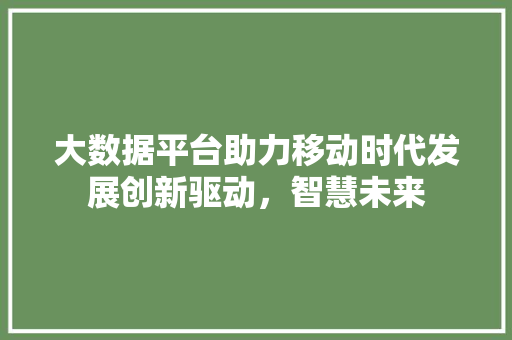 大数据平台助力移动时代发展创新驱动，智慧未来
