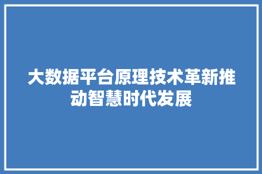 大数据平台原理技术革新推动智慧时代发展