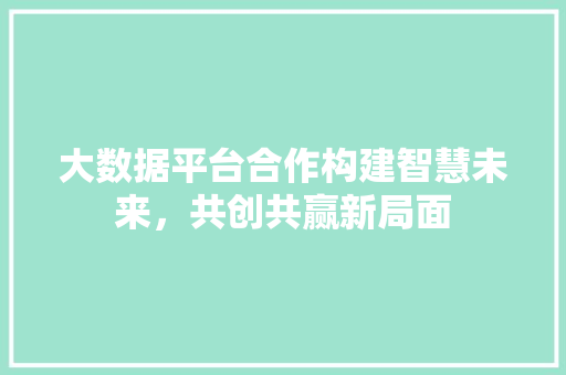 大数据平台合作构建智慧未来，共创共赢新局面