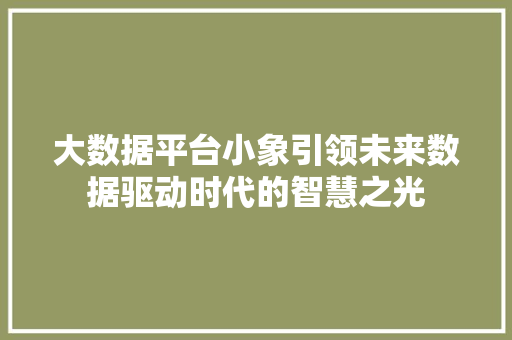 大数据平台小象引领未来数据驱动时代的智慧之光  第1张