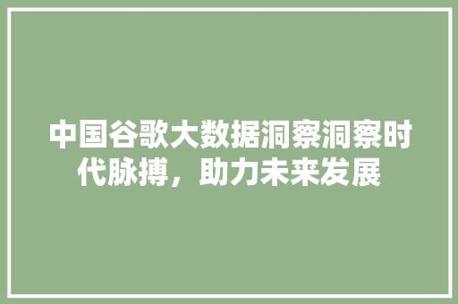 中国谷歌大数据洞察洞察时代脉搏，助力未来发展