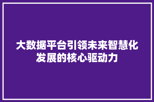 大数据平台引领未来智慧化发展的核心驱动力