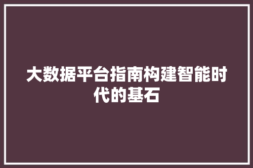 大数据平台指南构建智能时代的基石