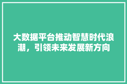 大数据平台推动智慧时代浪潮，引领未来发展新方向  第1张