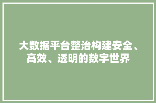 大数据平台整治构建安全、高效、透明的数字世界  第1张