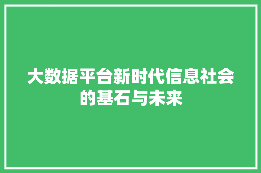 大数据平台新时代信息社会的基石与未来  第1张