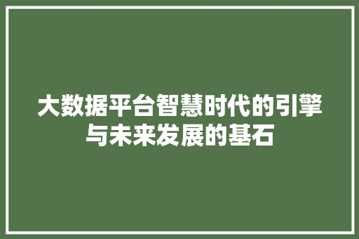 大数据平台智慧时代的引擎与未来发展的基石