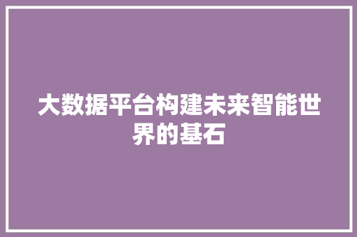 大数据平台构建未来智能世界的基石