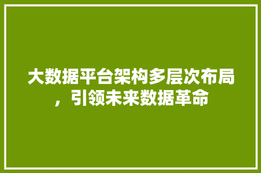 大数据平台架构多层次布局，引领未来数据革命