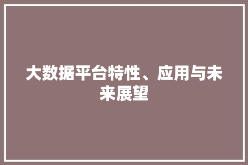 大数据平台特性、应用与未来展望