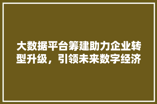大数据平台筹建助力企业转型升级，引领未来数字经济时代