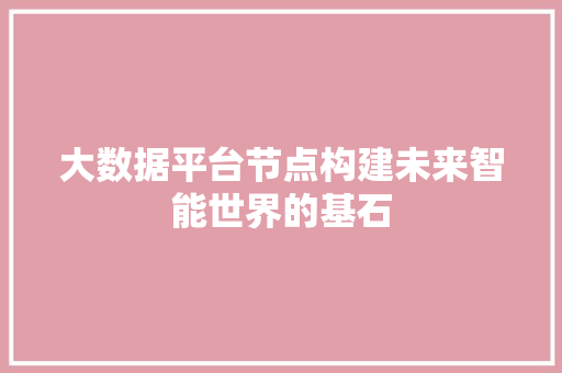 大数据平台节点构建未来智能世界的基石  第1张