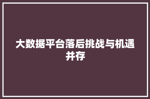 大数据平台落后挑战与机遇并存  第1张
