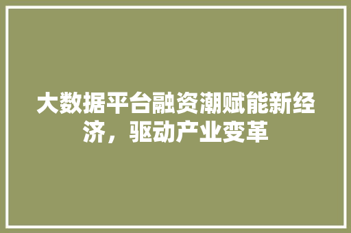 大数据平台融资潮赋能新经济，驱动产业变革  第1张
