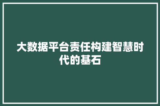 大数据平台责任构建智慧时代的基石  第1张